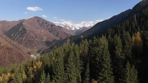 Aerial view of mountain forest with snowy peaks, Kazakhstan Vídeos de archivo 344100507