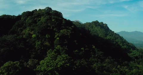 Aerial view of mountain forest with soft golden sunlight and mist 스톡 동영상 333308085