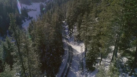 Aerial view of a mountain forest in the winter Stock Footage 103275479