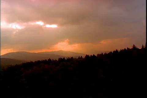 Aerial view of mountain forests in daytime and at sunset Stock Footage 99116670