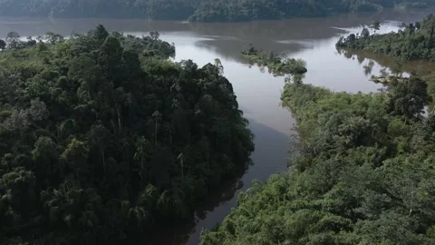 Aerial view at mountain lakeside with camera tilt up in morning, Asia 動画素材 146882726