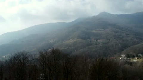 Aerial view. Mountain landscape with bare trees in winter. 库存影片 172248759