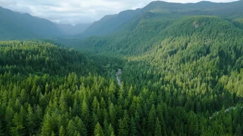 Aerial View Of Mountain Landscape Stock Footage 304064288