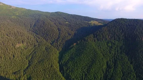 Aerial view: Mountain landscape with wild forest Stock Footage 80223281