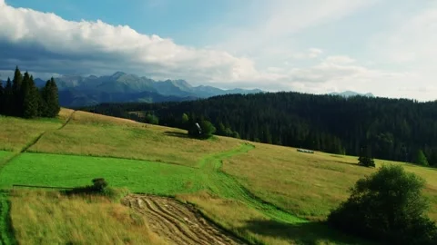 Aerial View of Mountain Meadow and Green Forest Video stock 342953295