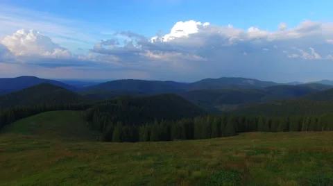 Aerial view of mountain meadow, pine forest at beautiful evening. Video stock 66131201
