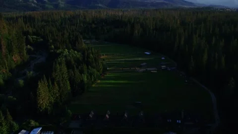 Aerial View of Mountain Meadow Surrounded by Dense Forest Video stock 342953387