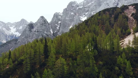 Aerial view, mountain pass, forest in European Alps Stock Footage 131203192