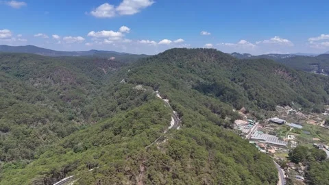 Aerial View of Mountain Pass Highway Winding Through Pine Forest 스톡 동영상 343605859