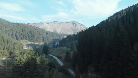 Aerial View of Mountain Pine Forest and Rocks Stock Footage 95061406
