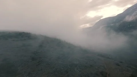 Aerial View of Mountain Pine Trees Covered in Thick Fog and Mist. Stock Footage 328105901