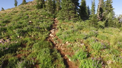 Aerial View of mountain range and landscape Stock Footage 60691445