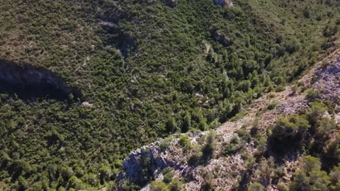 Aerial View of a mountain range and a forest on a slope Stock Footage 241514863