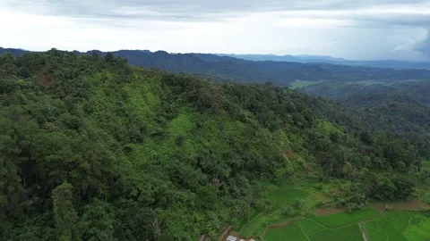 Aerial View of Mountain Range and Green Forest Stock Footage 343858968