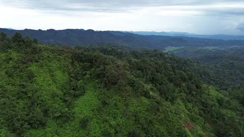 Aerial View of Mountain Range and Green Forest Stock Footage 343858997