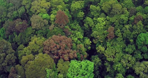 Aerial View of Mountain Range with Calm Atmosphere and Soft Light Indonesia Stock Footage 331901637