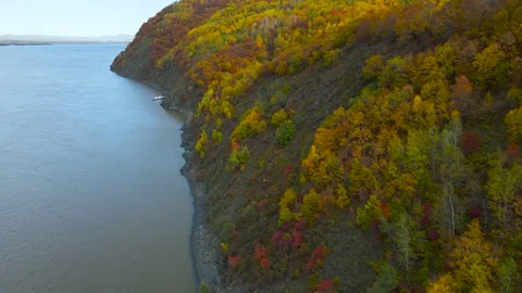 Aerial view of Mountain Range, Forest, Rocky Coast near to River in Gold Autumn Stock Footage 165472012