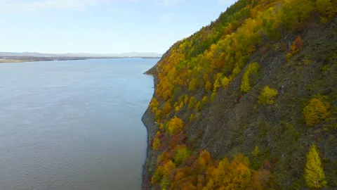 Aerial view of  Mountain Range, Forest, Rocky Coast near to River in Gold Autumn Stock-Footage 165472086