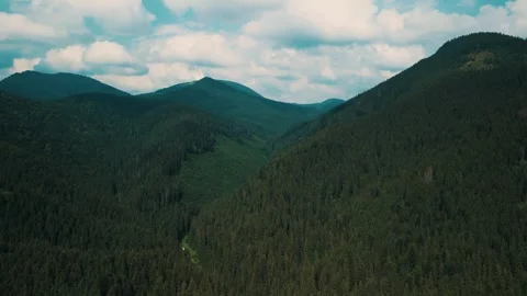 Aerial view of mountain range with lush forested Stock Footage 270244189