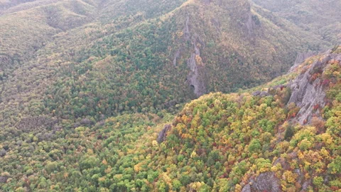 Aerial View of Mountain Range With Trees in Foreground Stock Footage 266920843