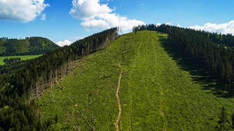 Aerial view of a mountain range with trees in the Tatra Mountains, Slovakia Foto stock