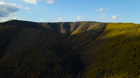 Aerial view of Mountain Range with Valley, Yellow-Red Forest in Golden Autumn Stock Footage 165469032