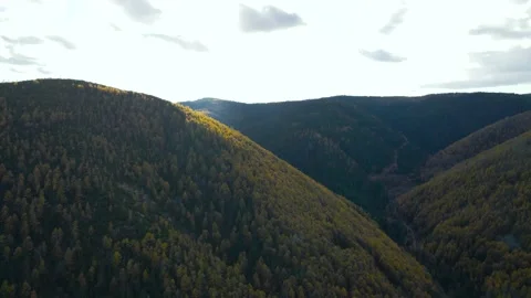 Aerial view of Mountain Range with Valley, Yellow Forest in Golden Autumn Stock Footage 165469569