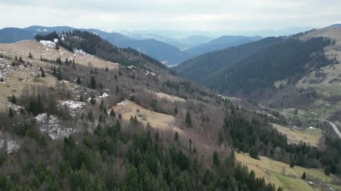 An Aerial view of the mountain ranges covered with spring forest spruce trees Stock Footage 238566625