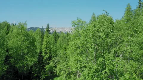 Aerial view of mountain ranges in Ural in summer sunny day Stock Footage 135394343