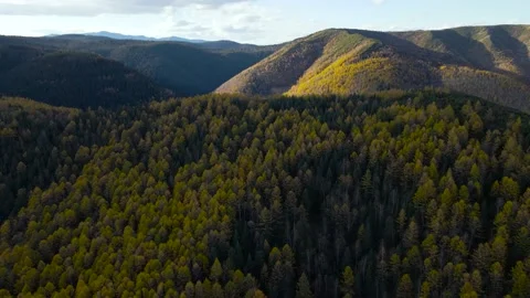 Aerial view of Mountain Ridge Peak, Valley, Yellow Forest in Gold Autumn Stock Footage 165469968