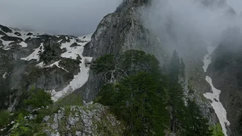 Aerial view - mountain ridge with a pine trees Video stock 249999887