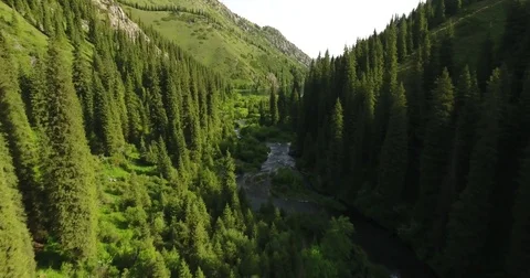 Aerial view of the mountain river and Kolsay lake Stock Footage 77615797