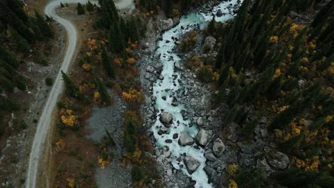 Aerial View of Mountain River and Pine Forest Stock Footage 324759742