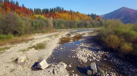 Aerial view of mountain river. Autumn Carpathians. Stock Footage 56770518