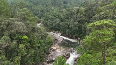 Aerial View of Mountain River Cascade Cutting Through Dense Jungle 스톡 동영상 343477730