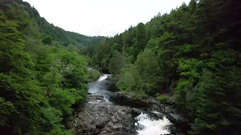 Aerial - View of the Mountain River in Dense Green Forest Stock Footage 157022604