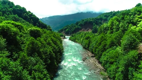 Aerial view of a mountain river flowing through a mountain gorge. Stock Footage 157725592
