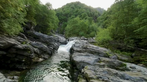 Aerial View of a Mountain River Flowing Through Lush Green Forest Video stock 277799016