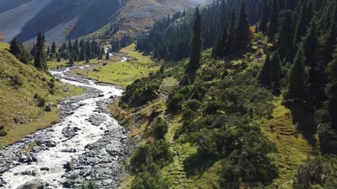 Aerial view of mountain river flowing through alpine valley with grazing horses Видео 334623790