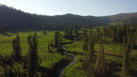 Aerial view of mountain river. Stock Footage 246402110