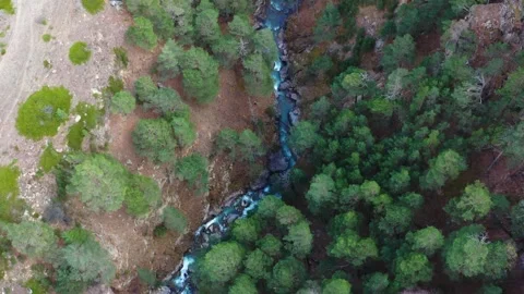 Aerial View of a Mountain River in a Forest of the North Caucasus, Russia Stock Footage 320857009
