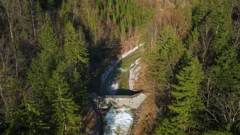 Aerial view of mountain river with stone dam in alpine forest, Austria Vídeo Stock 333208013