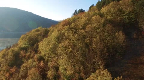Aerial view on mountain river surrounded with autumn forest and mountains Stock Footage 68383230