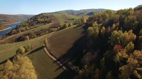 Aerial view on mountain river surrounded with autumn forest and mountains Stock Footage 68383645
