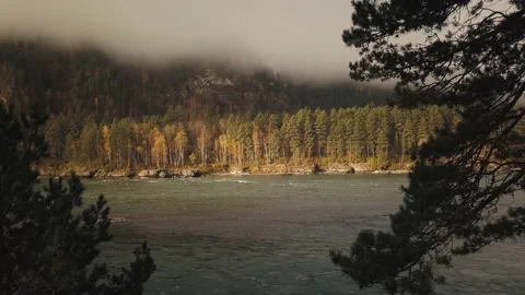 Aerial view of mountain river, valleys and forest through clouds in the morning Stock-Footage 144201072