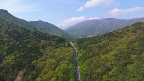 Aerial View of Mountain Road Cutting Through Green Forest 動画素材 324940604