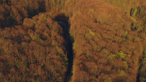 Aerial view of the mountain road Stock Footage 88550697
