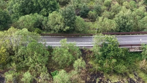 Aerial view of a mountain road surrounded by dense green foliage and trees Stock Footage 345256823