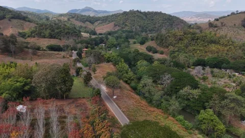 Aerial View of Mountain Road Through Calm Forest Stock Footage 327506361
