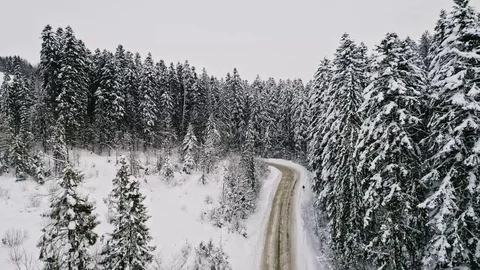 Aerial view of the mountain road, winter. Stock Footage 71838475